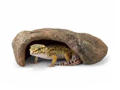 Jaskinia do terrarium M 22x16x7cm kryjówka dla jaszczurki i węża ATD
