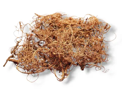 Małe naturalne korzenie Curly Moss - 50g 9,00 zł