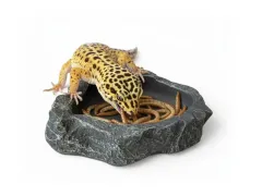 Mała grafitowa miseczka do terrarium S 10 cm – na wodę, pokarm czy witaminy