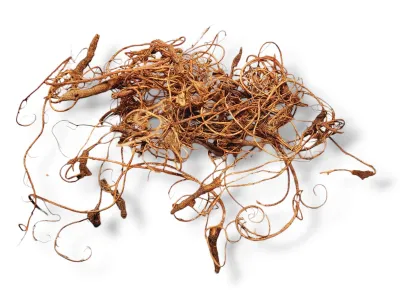 Małe naturalne korzenie Curly Moss - 50g 9,00 zł