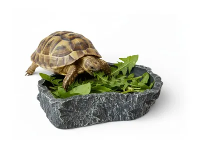 Miska basen do terrarium 21x16 cm dla jaszczurek i węży