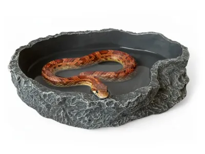 Basen do terrarium XL 26,5x17,5x5cm – duża miska dla węży, jaszczurek i żółwi