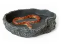 Basen do terrarium XL 26,5x17,5x5cm – duża miska dla węży, jaszczurek i żółwi