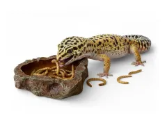 Mała piaskowa miseczka do terrarium S 10cm – na wodę, pokarm czy witaminy