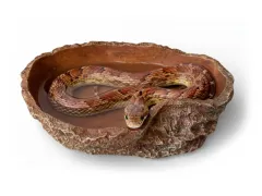 Basen do terrarium XL 26,5x17,5x5cm – duża miska dla węży, jaszczurek i żółwi