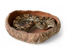 Basen do terrarium XXL piaskowiec 40x30x10cm – duża miska dla węży i jaszczurek ATD