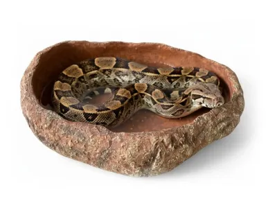 Basen do terrarium XXL piaskowiec 40x30x10cm – duża miska dla węży i jaszczurek ATD