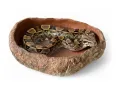 Basen do terrarium XXL piaskowiec 40x30x10cm – duża miska dla węży i jaszczurek ATD