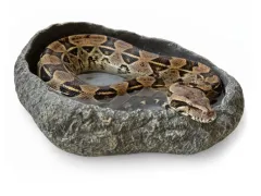 Basen grafitowy do terrarium XXL 40x30x10cm – duża miska dla węży i jaszczurek ATD