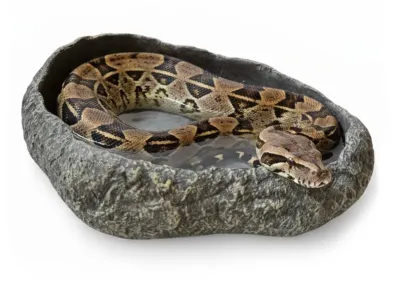 Basen grafitowy do terrarium XXL 40x30x10cm – duża miska dla węży i jaszczurek ATD