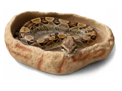 Basen do terrarium XXL Canyon 40x30x10cm – duża miska dla węży i jaszczurek ATD