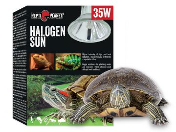 Żarówka grzewcza halogen Sun 35W do terrarium Repti Planet 29,99 zł