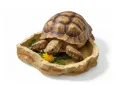 Miska basen do terrarium 21x16 cm dla jaszczurek i węży