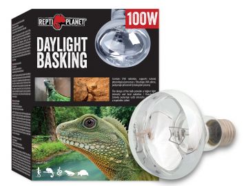 Żarówka grzewcza dzienna Daylight Spot 100W do terrarium Repti Planet 29,99 zł