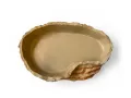 Basen do terrarium XL 26,5x17,5x5cm – duża miska dla węży, jaszczurek i żółwi