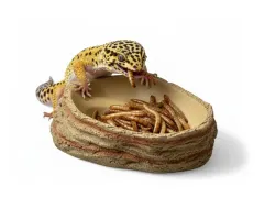 Miska do terrarium Canyon M 12,5 cm – na wodę i pokram dla gadów i płazów