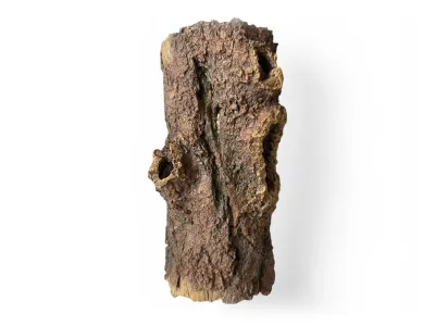 Kryjówka do terrarium pień drzewa L 27x13x8cm ATD