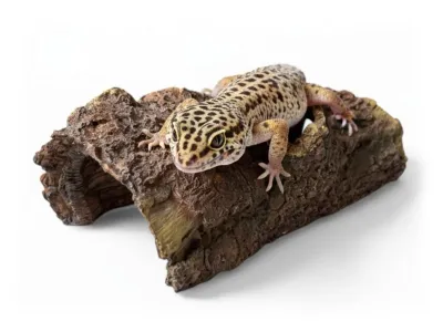 Kryjówka do terrarium pień drzewa L 27x13x8cm ATD