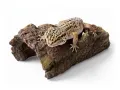 Kryjówka do terrarium pień drzewa L 27x13x8cm ATD