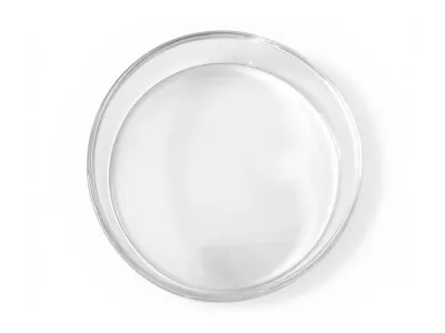 Miska szklana do terrarium 6x1,5cm - Glass Bowl M