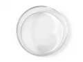 Miska szklana do terrarium 6x1,5cm - Glass Bowl M