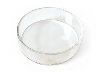 Miska szklana do terrarium 6x1,5cm - Glass Bowl M