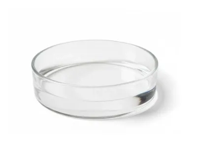 Miska szklana do terrarium 6x1,5cm - Glass Bowl M