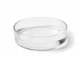 Miska szklana do terrarium 6x1,5cm - Glass Bowl M