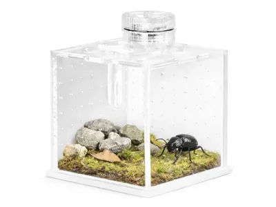 Małe terrarium akrylowe na owady i pająki SpiderNook 7,5x7,5x7,3cm Terrario