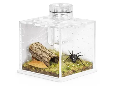 Małe terrarium akrylowe na owady i pająki SpiderNook 7,5x7,5x7,3cm Terrario