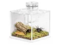 Małe terrarium akrylowe na owady i pająki SpiderNook 7,5x7,5x7,3cm Terrario