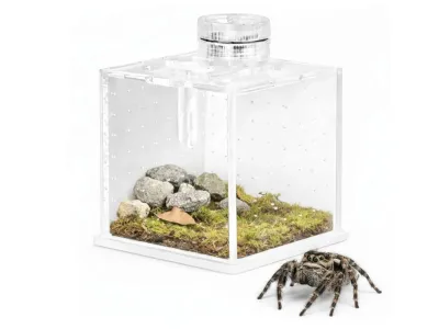Małe terrarium akrylowe na owady i pająki SpiderNook 7,5x7,5x7,3cm Terrario