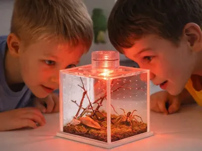 Małe terrarium akrylowe na owady i pająki SpiderNook 7,5x7,5x7,3cm Terrario