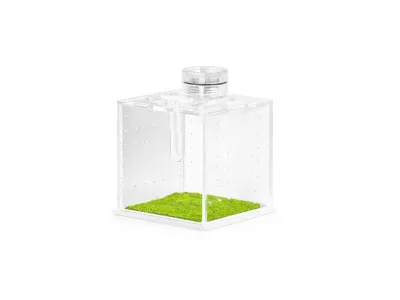 Małe terrarium akrylowe na owady i pająki SpiderNook 7,5x7,5x7,3cm Terrario