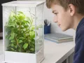 Nowoczesne terrarium akrylowe z wentylacją – dla modliszki i skakuna