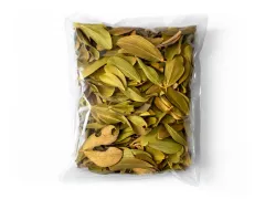 Suszone liście do terrarium Cabo Verde Leaves - naturalna dekoracja 2