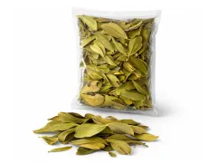 Suszone liście do terrarium Cabo Verde Leaves - naturalna dekoracja