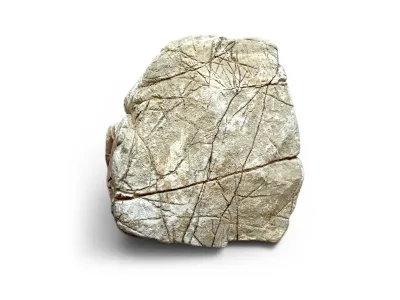 Naturalna skała do akwarium 8-12cm – skóra słoniowa