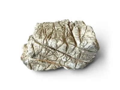 Naturalna skała do akwarium 8-12cm – skóra słoniowa