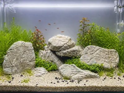 Naturalna skała do akwarium 8-12cm – skóra słoniowa