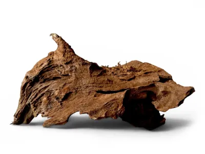 Korzeń mangrowca do akwarium terrarium rozmiar XL 40-50cm – dekoracja do terrarium, naturalny