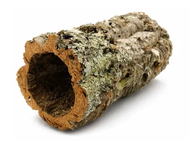 Tuby korkowe - kora dębu korkowego 5kg – kora korkowa, kryjówka i dekoracja terrarium