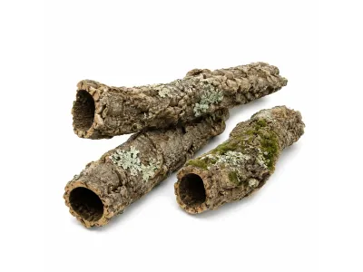 Tuby korkowe - kora dębu korkowego 5kg – kora korkowa, kryjówka i dekoracja terrarium
