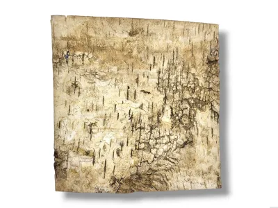 Tło do terrarium/pojemnika z naturalnej BRZOZY Birch Wall 10x10 4,99 zł