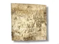 Tło do terrarium/pojemnika z naturalnej BRZOZY Birch Wall 10x10 4,99 zł