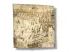 Tło do terrarium/pojemnika z naturalnej BRZOZY Birch Wall 10x10 4,99 zł