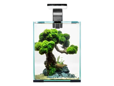 Akwarium, krewetkarium 30x30x35cm zestaw z oświetleniem, filtrem i grzałką Shrimp Set SMART Day&Night Aquael