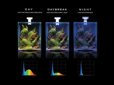 Akwarium, krewetkarium 30x30x35cm zestaw z oświetleniem, filtrem i grzałką Shrimp Set SMART Day&Night Aquael