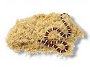 Pet's Dream Snake - podłoże do hodowli węży 2kg Chipsi Snake 30,00 zł