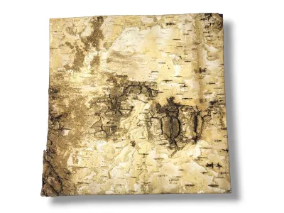 Tło do terrarium/pojemnika z naturalnej BRZOZY Birch Wall 15x15 6,49 zł